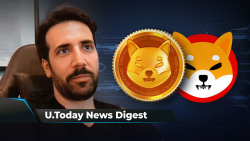 SHIB Team Introduces Basic Concepts of Shibarium, Former SEC Official Names Reason for BTC Recovery, David Gokhshtein 'Loading up on SHIB': Crypto News Digest by U.Today