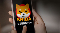 Shiba Eternity Game Devs Now Accept Ideas from Users: Details