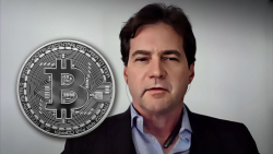 Self-Proclaimed Satoshi Craig Wright Sees No Bitcoin (BTC) Narrative Outside Pyramid and Ponzi Scheme
