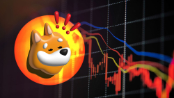 BONK's Copycat on Polygon Loses 96% of Its Value