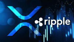 100 Million XRP Kicked Over by Ripple, Here's What's Happening