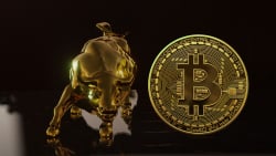 $30,000 Might Be Decisive Level for Bitcoin (BTC), Analyst Claims