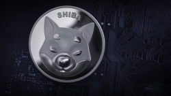 3 Reasons Why Shiba Inu (SHIB) Lost All of Its Gains from Yesterday