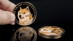 Doge Co-founder Suggests Crypto Moguls Shorting Dogecoin Likely to Lose, Here's Why