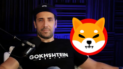 'If SHIB Gets to $0.01,' David Gokhshtein Might Take This Action: Details