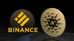 Cardano to Get Support of Binance's BUSD Thanks to This Bridge
