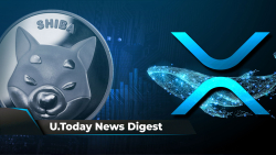 SHIB Takes over Dubai with Welly Burger Joint, XRP Soars, Whales Move 336 Million XRP, If SHIB Hits $0.01, David Gokhshtein Might Do This: Crypto News Digest by U.Today
