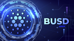 Cardano (ADA) Now Supports BUSD Seamlessly with This Bridge Solution