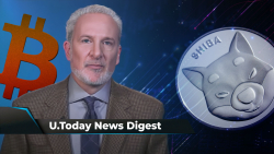 SHIB Army Strikes Back at Steven Cooper, “Big Short” Hero Michael Burry Shares Important Warning, Peter Schiff Comments on His Bad BTC Advice: Crypto News Digest by U.Today