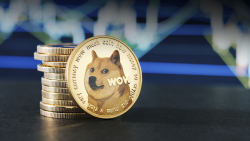 Dogecoin Adoption Expands, Here Are Businesses That Accept DOGE Now