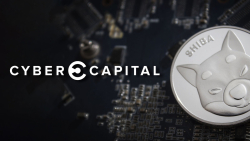 Shiba Inu (SHIB) Decentralization Facts Revealed by Cyber Capital Founder: Details
