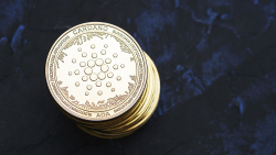 Cardano Millionaires Took Advantage of Latest ADA Price Rise, Here's How