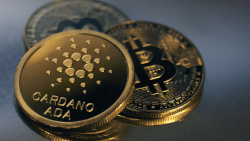 Cardano Kicks Off 'Big Week' as Testnet for Wrapped BTC Goes Live: Details