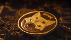Shiba Inu (SHIB) Payments Expand Even Further Thanks to This Integration