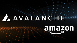 Avalanche (AVAX) and Amazon: Everything You Need To Know About This Partnership