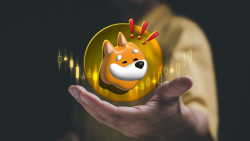 SHIB Killer BONK Records Over 50% More Transactions Than Ethereum in Past 3 Days