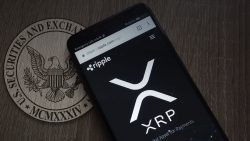 Ripple Attorney Lends Further Argument on Why SEC Is Wrong About XRP: Details