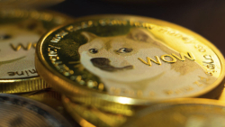 The Following Must Happen for Dogecoin (DOGE) to Spike, Analyst Believes