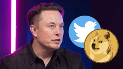 Elon Musk's Twitter 'Slaps' Dogecoin (DOGE) Army, Here's What Happened