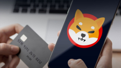 Shiba Inu (SHIB) Payments for These Virtual Debit Cards Hit New High