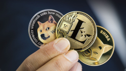 Shiba Inu (SHIB), Dogecoin (DOGE), Litecoin (LTC) Now Accepted by Top UK Basketball Club