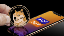 DOGE Army Voting for FCF Pay to Add Dogecoin for Debit Visa Cards
