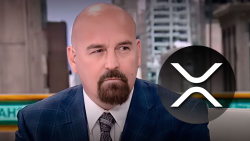 XRP Is Not Security Even If Ripple Sells It as One, Here's Why: CryptoLaw Founder