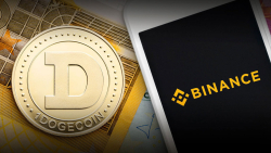 184 Million DOGE out of Binance, Dogecoin Price Acts Positively