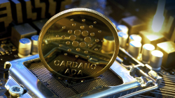 Cardano: New Innovation That Might Help Boost Cross-App Compatibility Launches