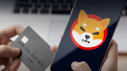 Shiba Inu (SHIB) Payments Expand to E-Commerce Stores via This Integration: Details