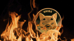 Here's SHIB Burn Rate's Reaction to Recent Shiba Inu Price Performance