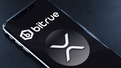 XRP Deposits and Withdrawals to Be Temporarily Suspended on Bitrue on This Date: Details