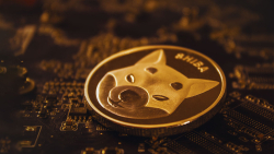 Shiba Inu Tokens Actively Bought by This Fund Amid 7% Drop in SHIB Price