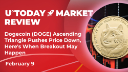 Dogecoin (DOGE) Ascending Triangle Pushes Price Down, Here's When Breakout May Happen