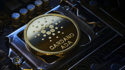 Why Are Cardano Stablecoins Game Changers for the Altcoin? Here's What Emurgo Team Believes 