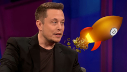 Elon Musk to Take Dogecoin (DOGE) to Literal Moon in 2023, Here's What's Happening