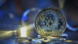 Cardano Ranks Biggest Staking Network After Ethereum, Here Are Details