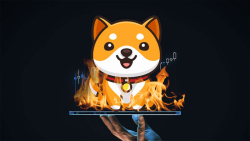 202.7 Quadrillion Baby Doge Coin (BabyDoge) Burned in Total as Price Jumps to Yearly High