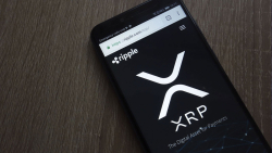 450 Million XRP Moved by Ripple, Here's Why It May Be Sale