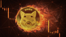 SHIB Burn Rate Sinks as Shiba Inu Price Continues to Stay in Red