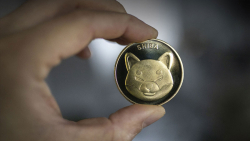 Speculative Shiba Inu (SHIB) Traders Are Dropping Their Holdings, 65% of Holders Are Long Term