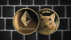 Bankrupt Crypto Broker Shocks Market, Shifts 2,500 ETH and 250 Billion Shiba Inu (SHIB)