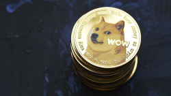 Dogecoin (DOGE) Sits Out Recent Upsurge, Are Whales Planning Move?