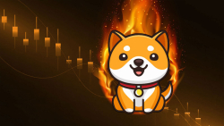 Baby Doge Coin (BabyDoge) Down 28% Weekly Despite Burn Portal Takeoff, Listings