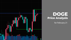 DOGE Price Analysis for February 21