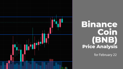 Binance Coin (BNB) Price Analysis for February 22