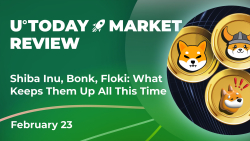 Shiba Inu, Bonk Floki and Other Doggy-Themed Assets: What Keeps Them up All This Time?