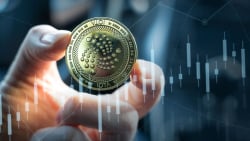 IOTA (MIOTA) Showing Price Increase as Major Updates Set to Roll in 2023