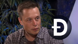 Elon Musk Angry With Dogecoin (DOGE) Creator on This Issue: Details