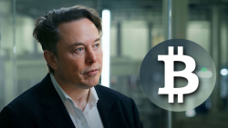 BTC Community Wants Elon Musk to Integrate Bitcoin Lightning Payments, Poll Says